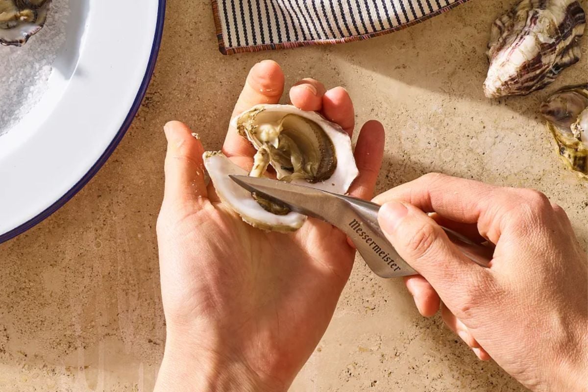 The 5 Biggest Oyster Knives, Utilized by a Expert Chef